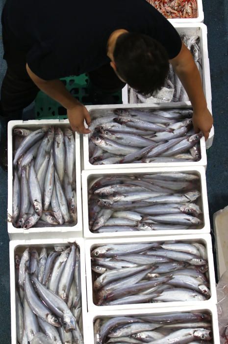 Así es un día de trabajo en la pescadería de Mercamálaga