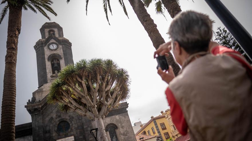 Puerto de la Cruz blinda sus casas terreras y árboles singulares