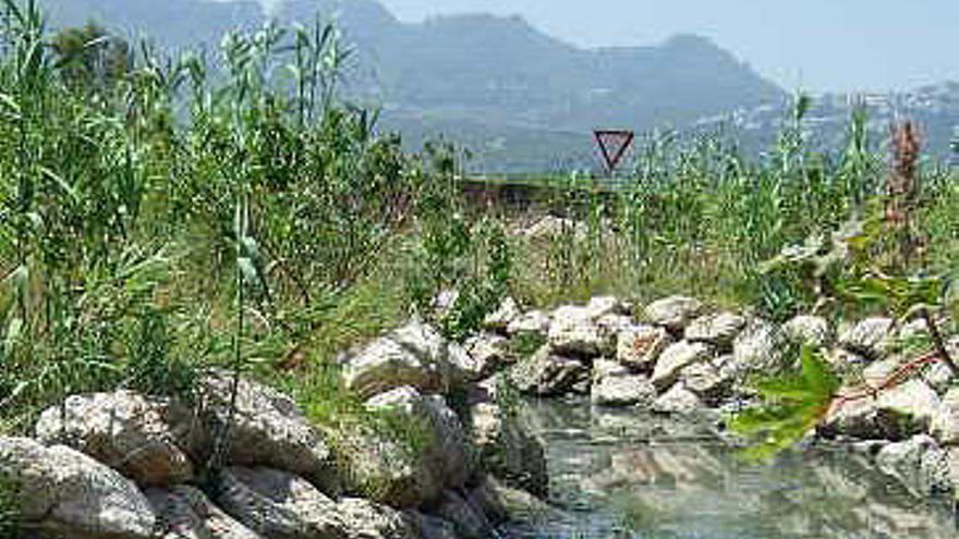 Los vertidos de aguas residuales.