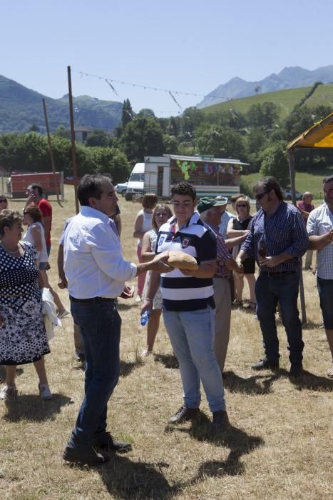 Fiestas de El Carmen en Soto de Ribera