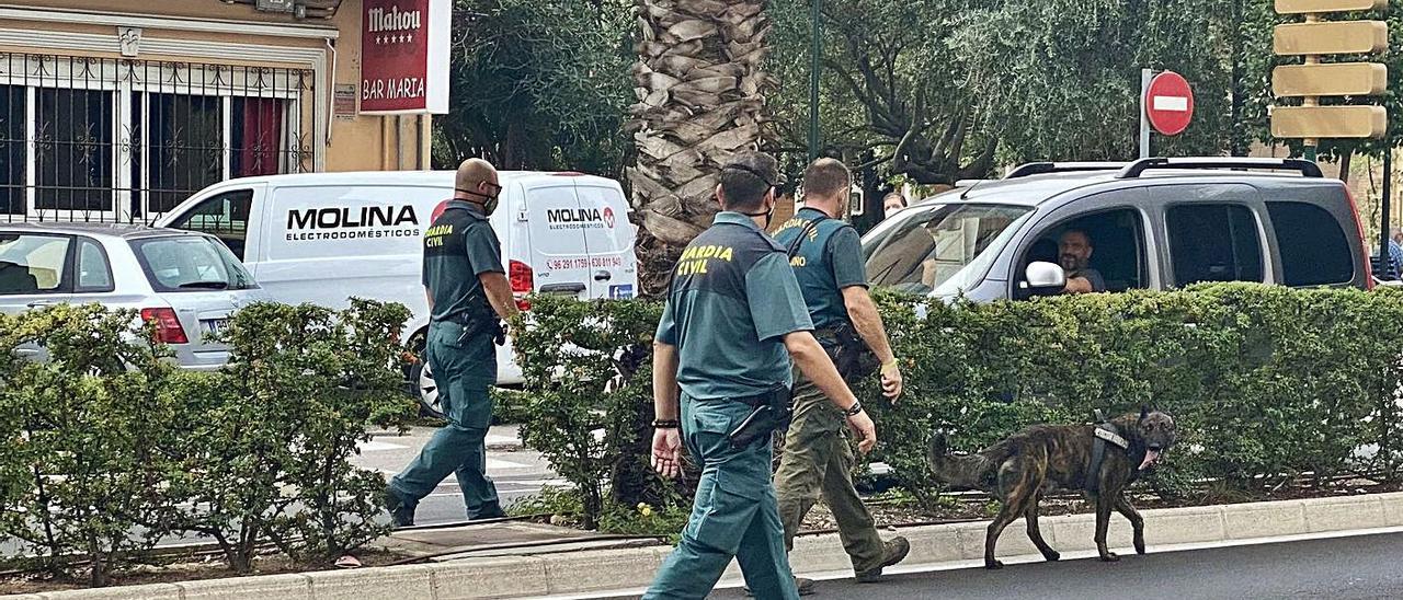 Agentes del Seprona y de la unidad cinológica de la Guardia Civil, con el perro policía, ayer | LEVANTE-EMV