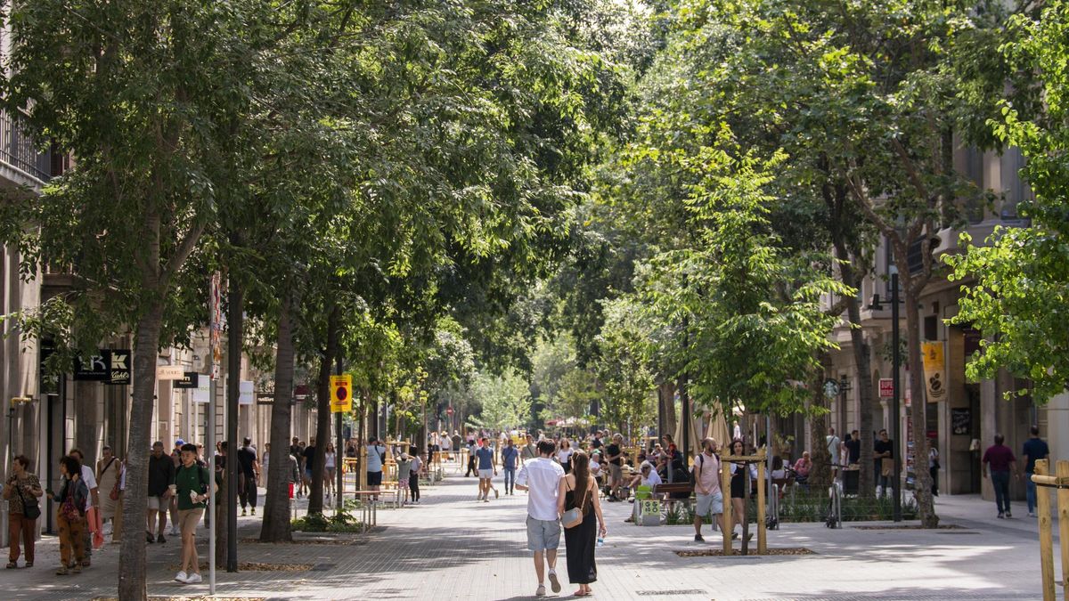El Pla Calor 2025–2035 preveu la creació de 160 hectàrees addicionals de zones verdes
