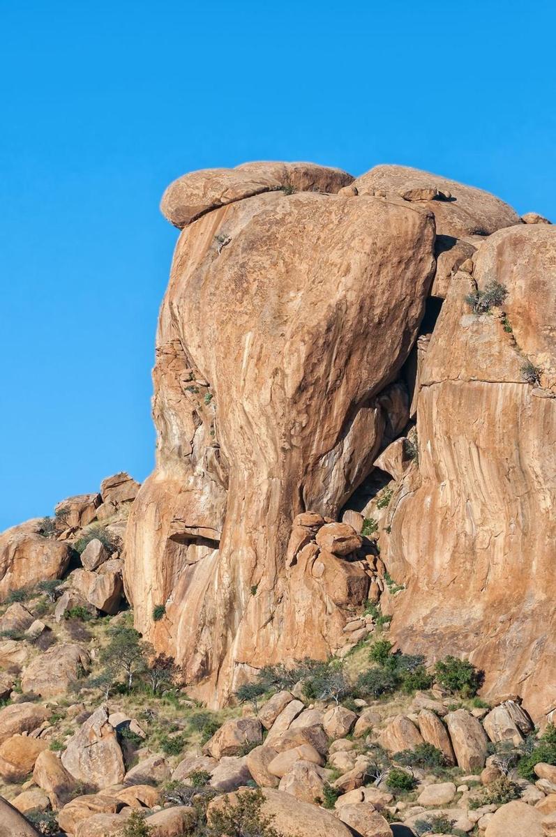 Cabeza de elefante en Ameib caras en monumentos