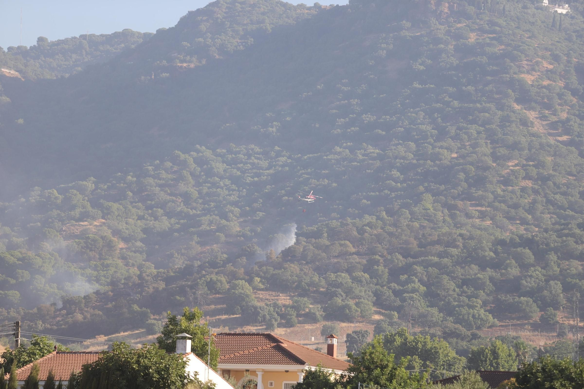Las imágenes de la mañana en el entorno del incendio de La Albaida