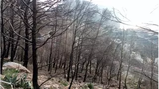 Altea limpia 31.000 metros cuadrados de superficie en la sierra Bèrnia para prevenir incendios forestales
