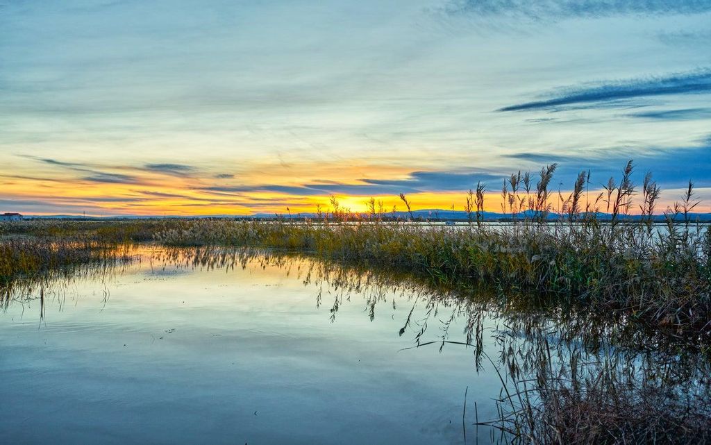 Albufera
