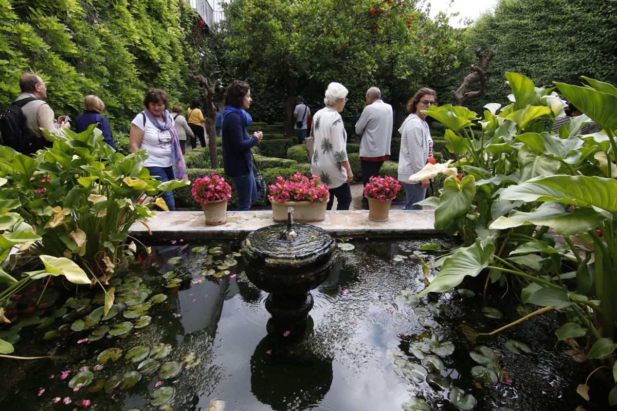 Los patios de Viana se abren a los visitantes del Mayo cordobés