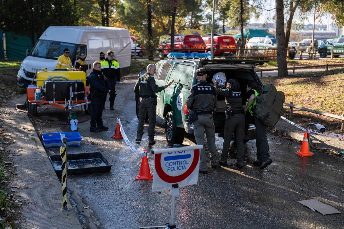 Efectivos de la UME y agentes rurales se reúnen en la zona declarada en cuarentena por la Peste Porcina Africana en Torreferrussa, antes de iniciar las tareas previstas.