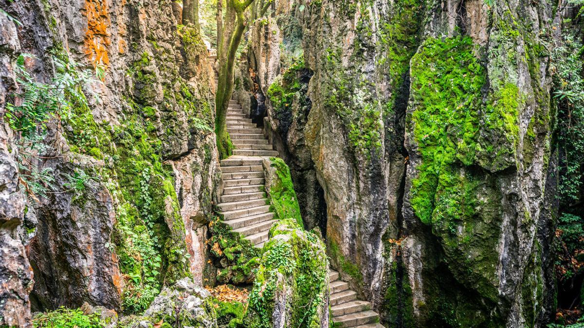 Este bosque de piedra es uno de los lugares más increíbles de China.