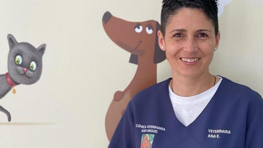 Ana Encisa: “La leishmaniosis canina va en aumento en Galicia”