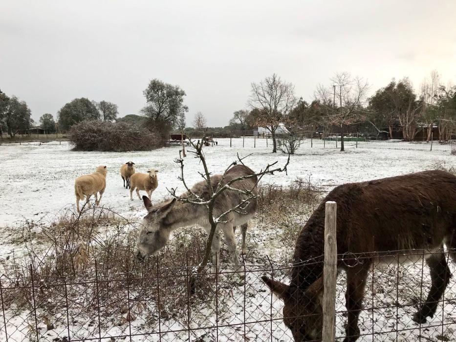 Nevada a Llagostera