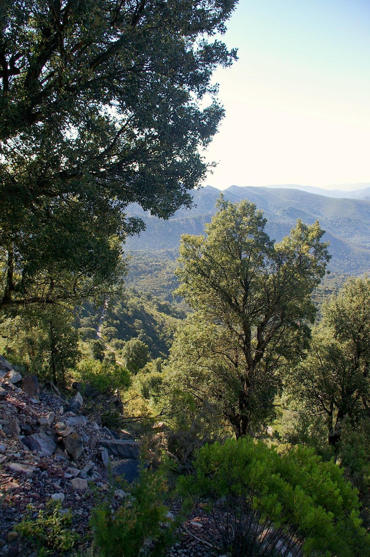Parque Natural Sierra de Espadán