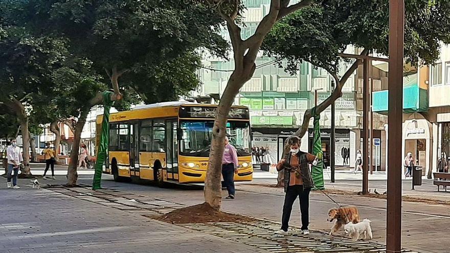 Zona comercial de Mesa y López.