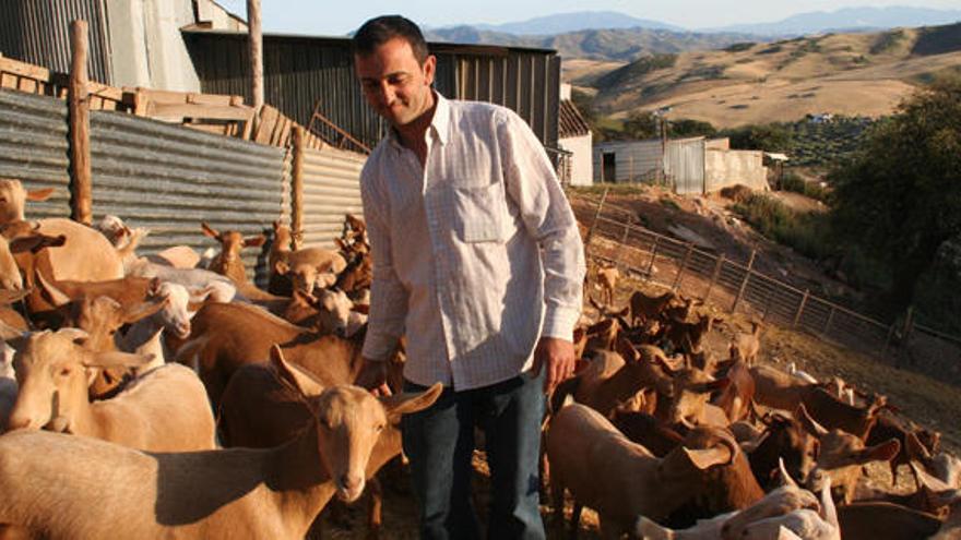 Un cabrero de la comarca de Antequera, junto a su ganado.