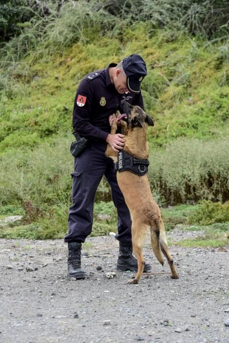 Reportaje a la Unidad Canina de la Policia ...