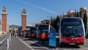 Autobuses de la flota de transporte público de Barcelona estacionados en la avenida de la Reina Maria Cristina.