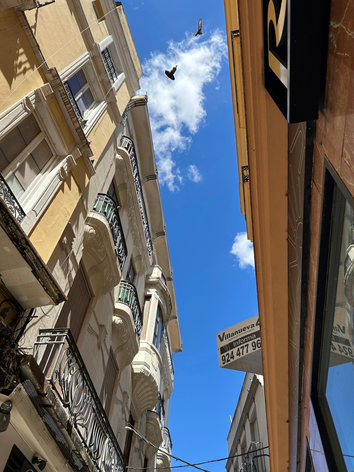 Fotogalería | Los vecinos del Casco Antiguo de Badajoz se quejan de las palomas