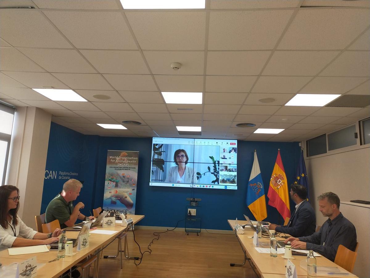 Hoy, durante la primera jornada del encuentro entre países en Gran Canaria