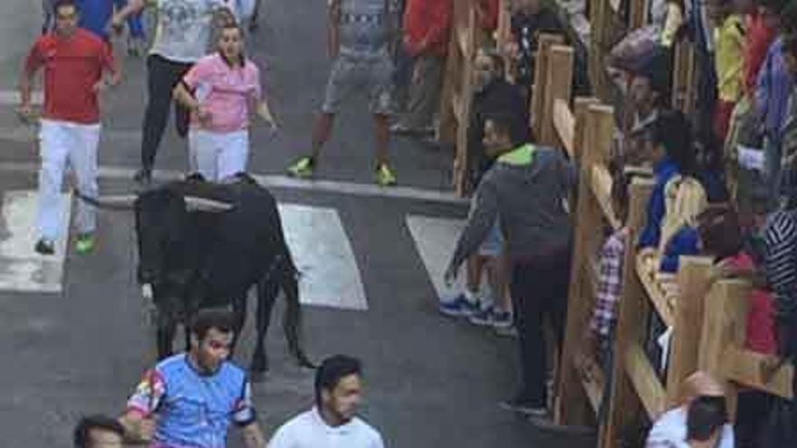 Un grupo de jóvenes corre ante la llegada del astado.