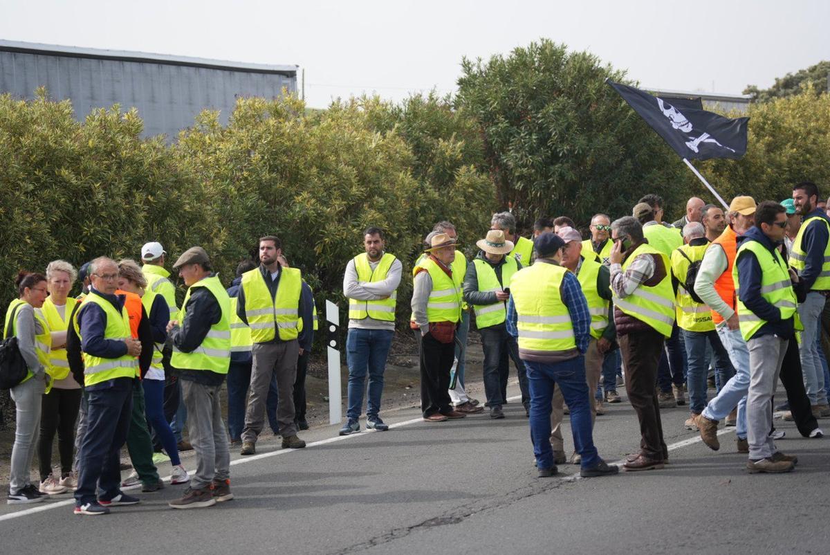 Los agricultores cordobeses vuelven a cortar la A-4 en una nueva protesta por la situación del campo