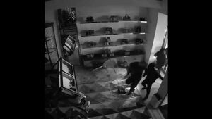 mossos vid  13 124254