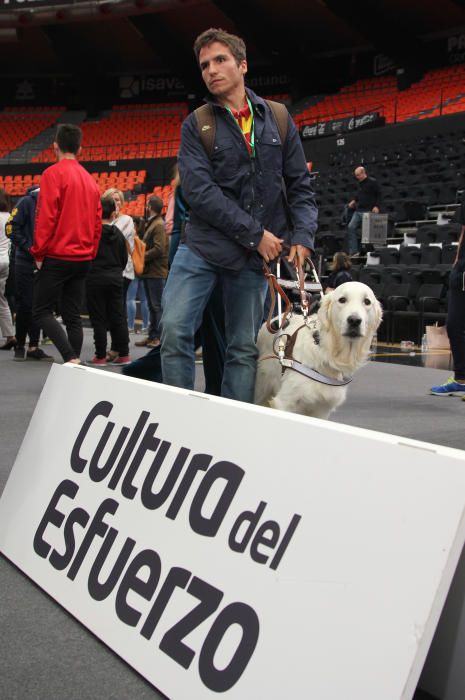 El Proyecto FER presenta su quinta edición