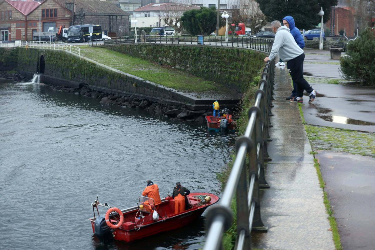Así se pescan las primeras lampreas de la temporada.