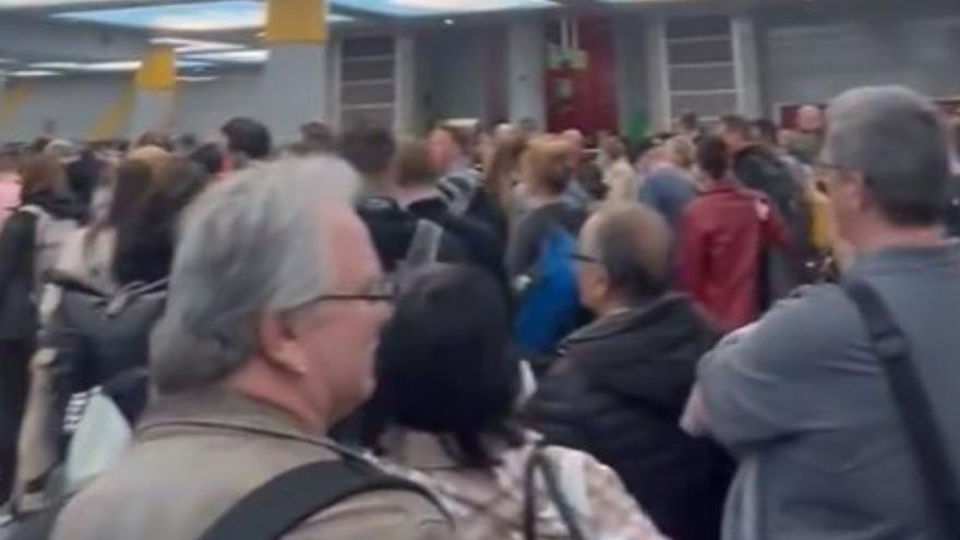 Erneut lange Schlangen an der Sicherheitskontrolle am Flughafen Mallorca