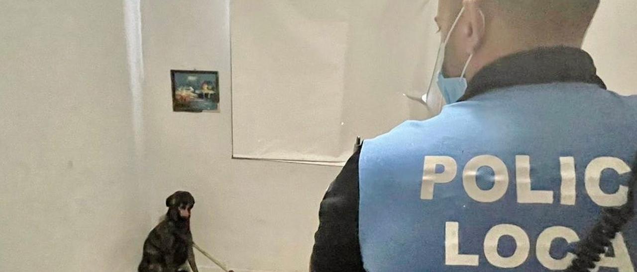 Un policía trata de prende un perro.