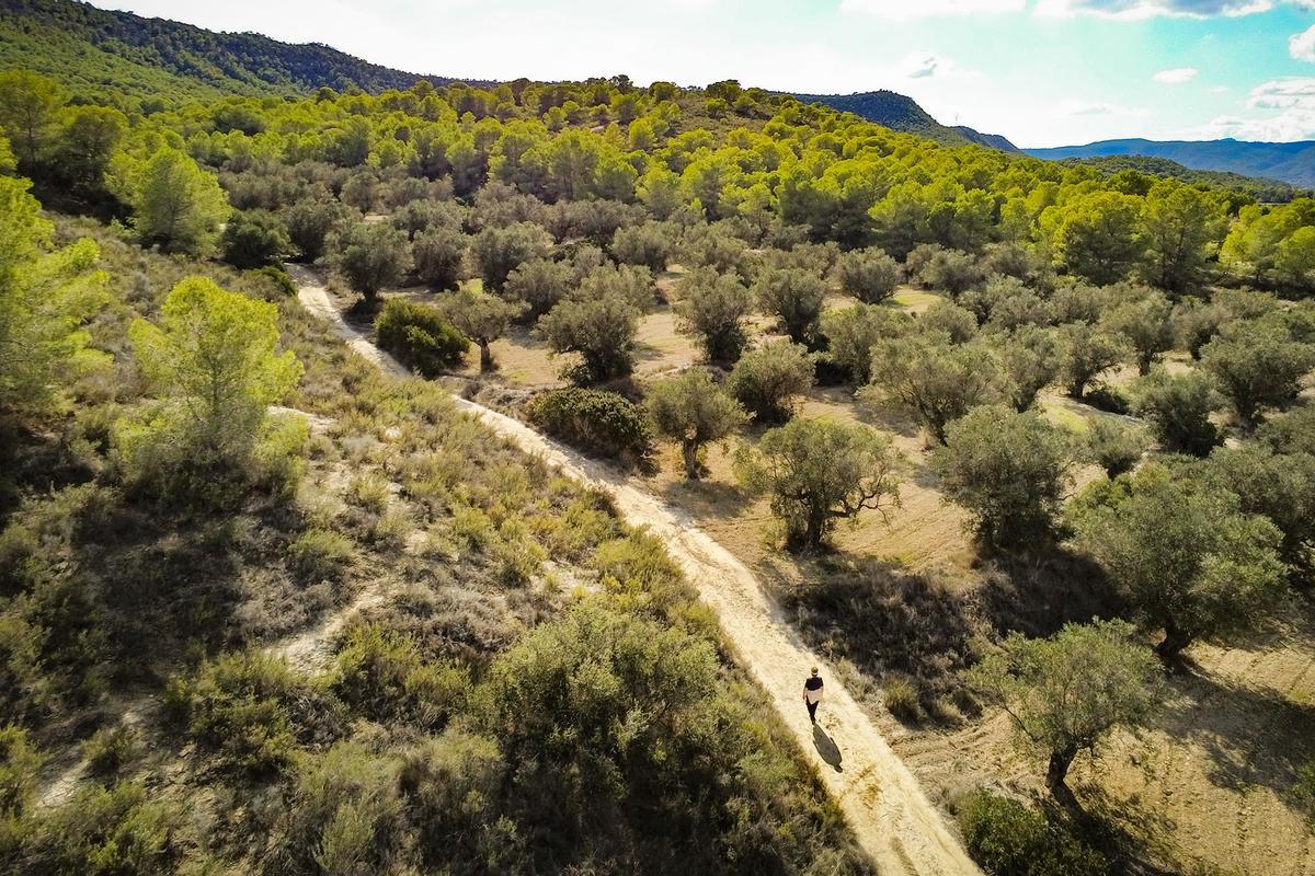 Sierra Escalona, protegida como Paisaje desde octubre de 2018