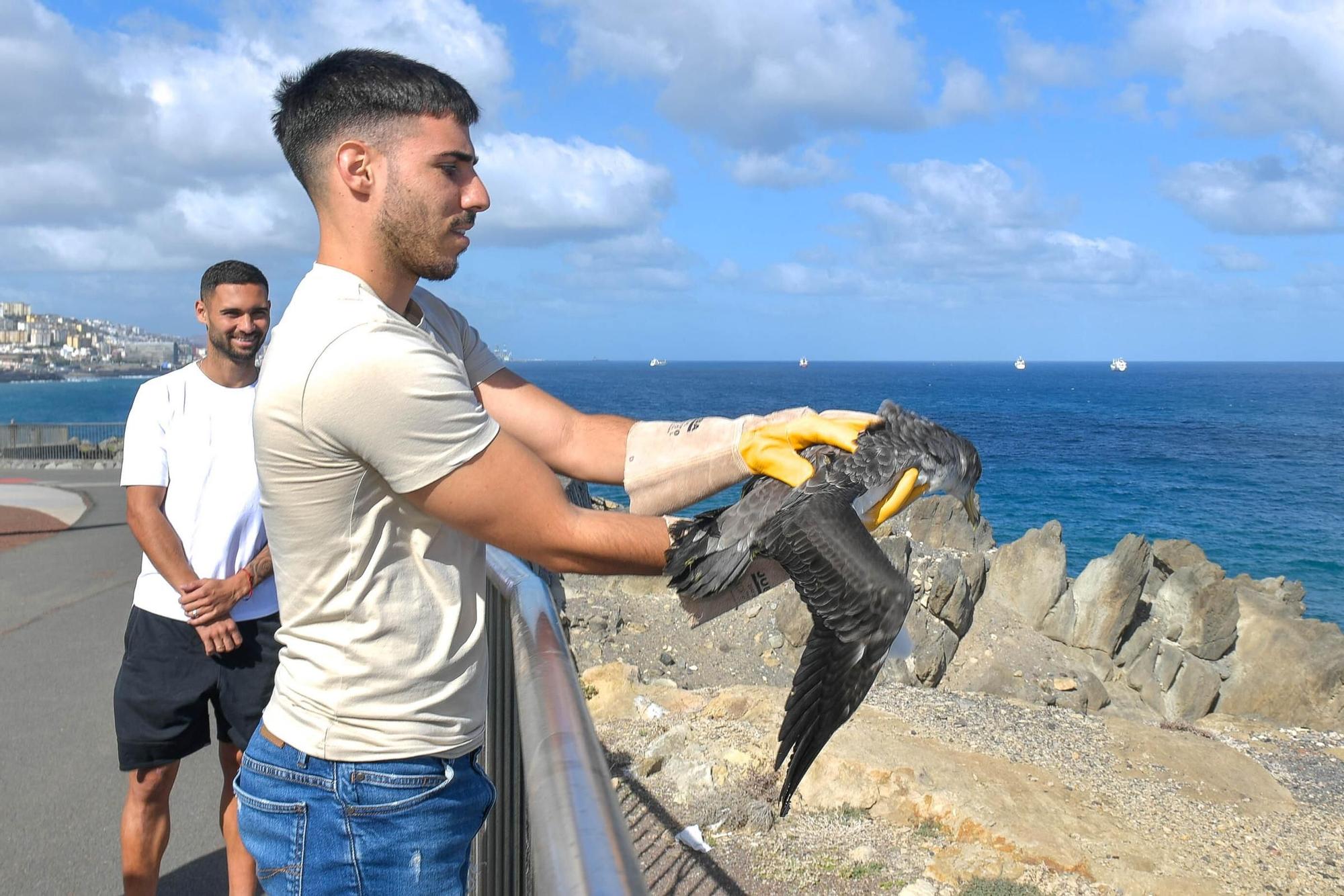 Benito y Fabio sueltan dos pardelas en el Mirador del Tritón