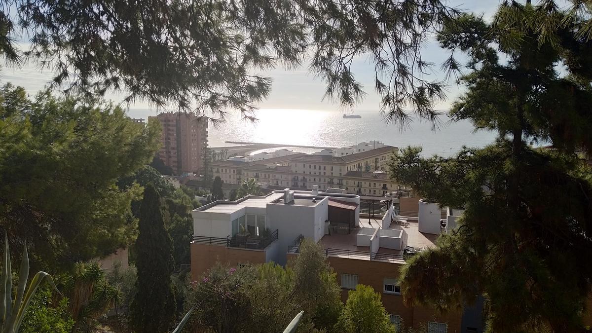 Vista de la playa de La Caleta desde uno de los miradores junto a la Cañada de los Ingleses.