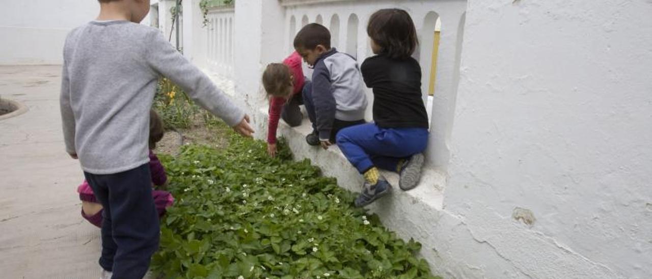 Alumnos de un colegio rural agrupado de la Vall d’Albaida.  | PERALES IBORRA