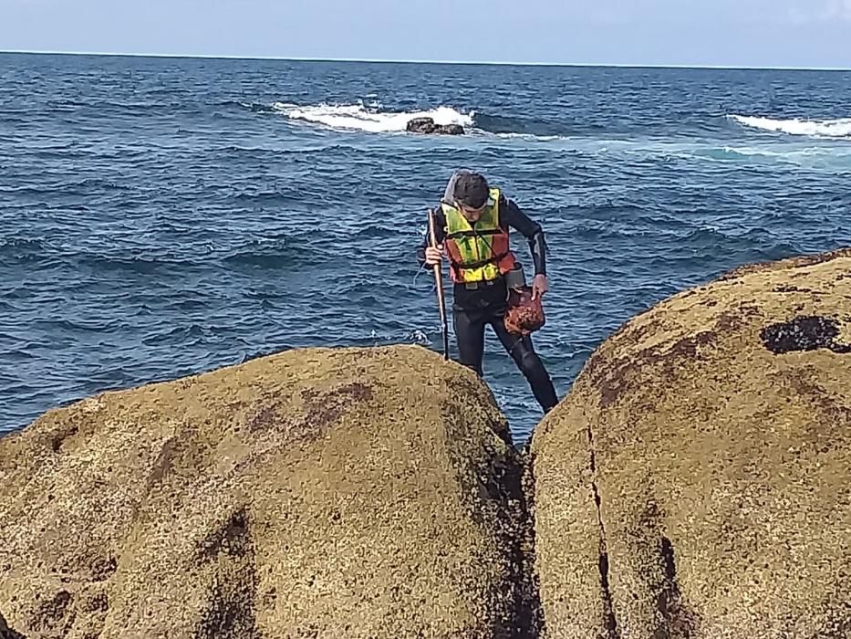 La actividad marisquera se intensifica en la ría