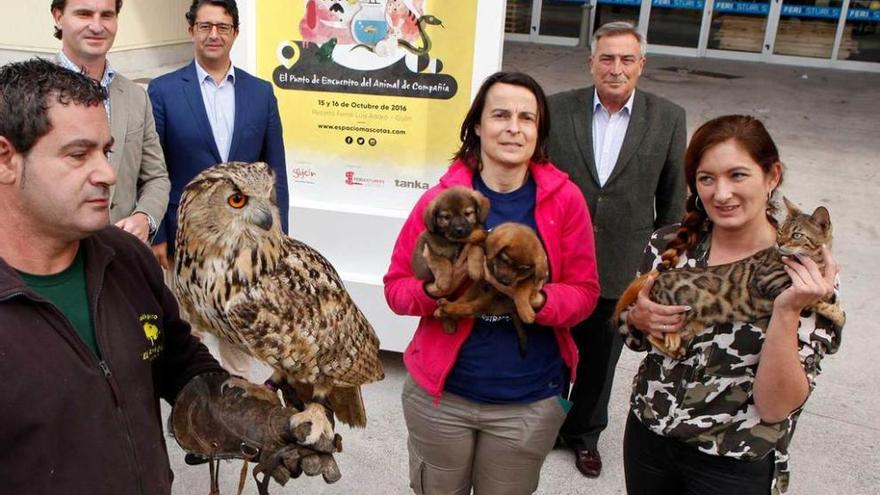 Algunas de las mascotas que participaron en la presentación de la feria.