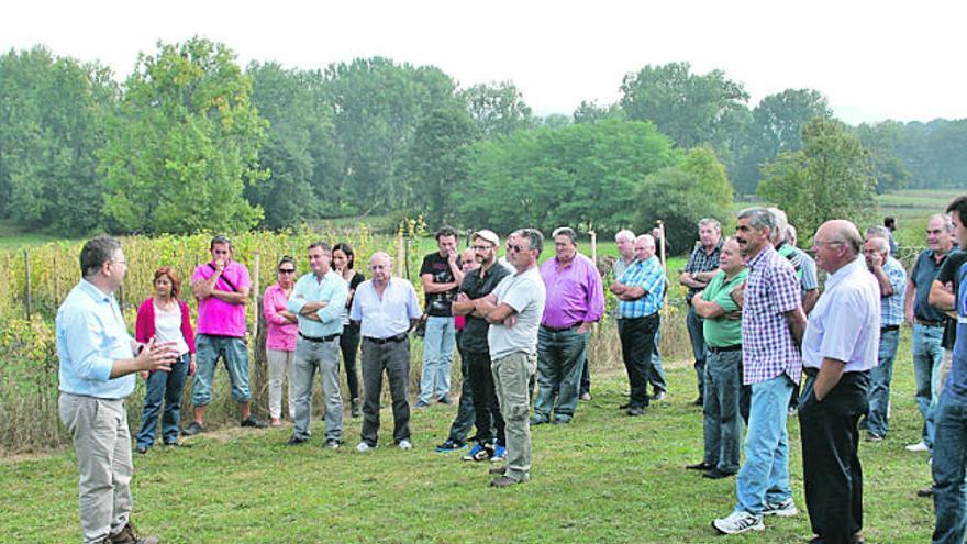 Ferreira explica a los productores los nuevos tipos de faba granja.