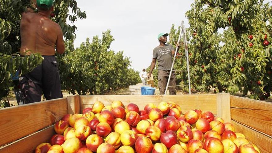 Aragón sancionará al 14,6% de los agricultores que no presentaron la declaración responsable de temporeros