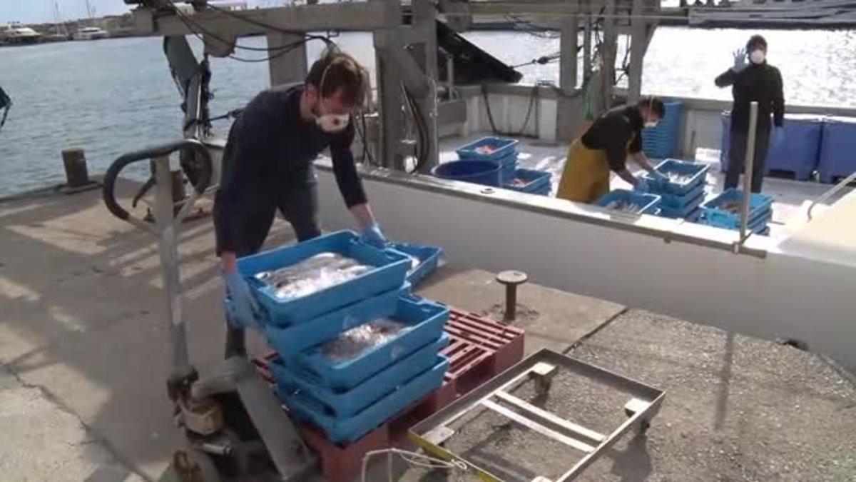 Barcas de arrastre llegan al puerto de Palamós, durante el estado de alarma.