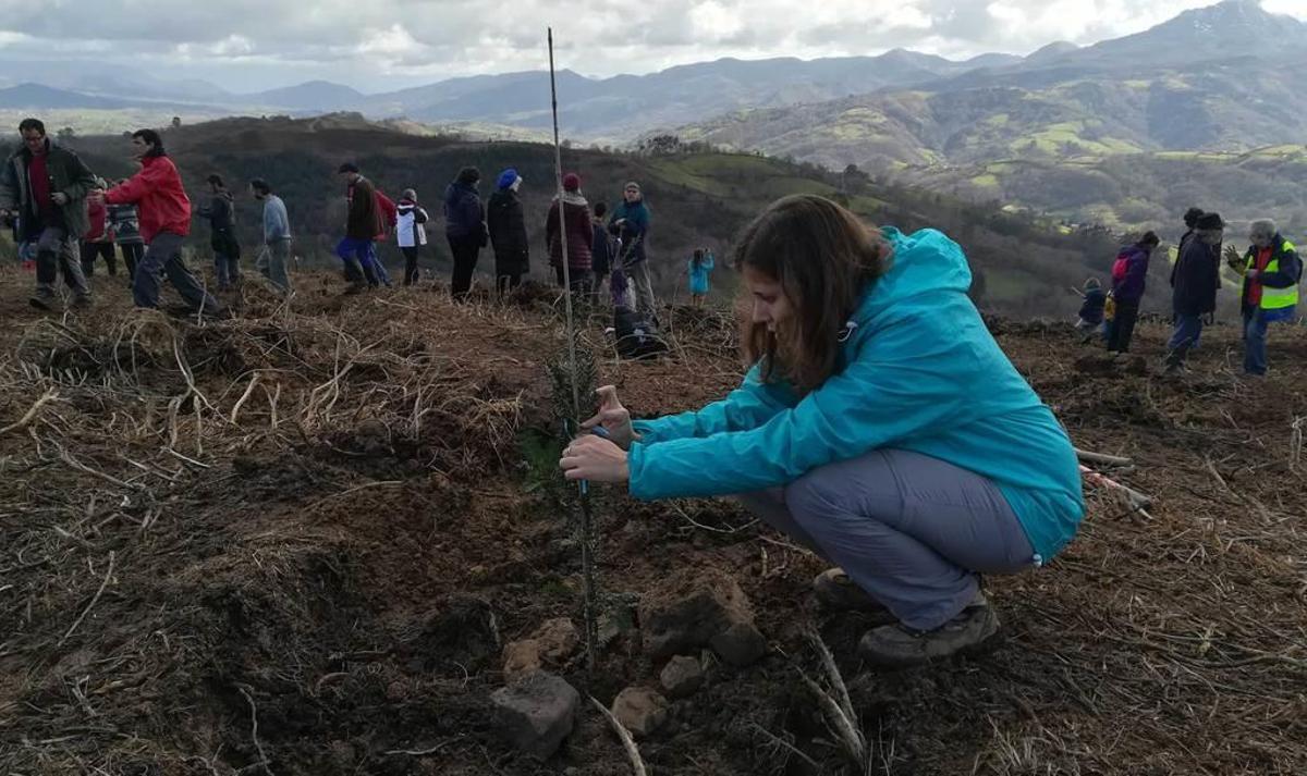 "Mable" echa raíces en Campabaxera