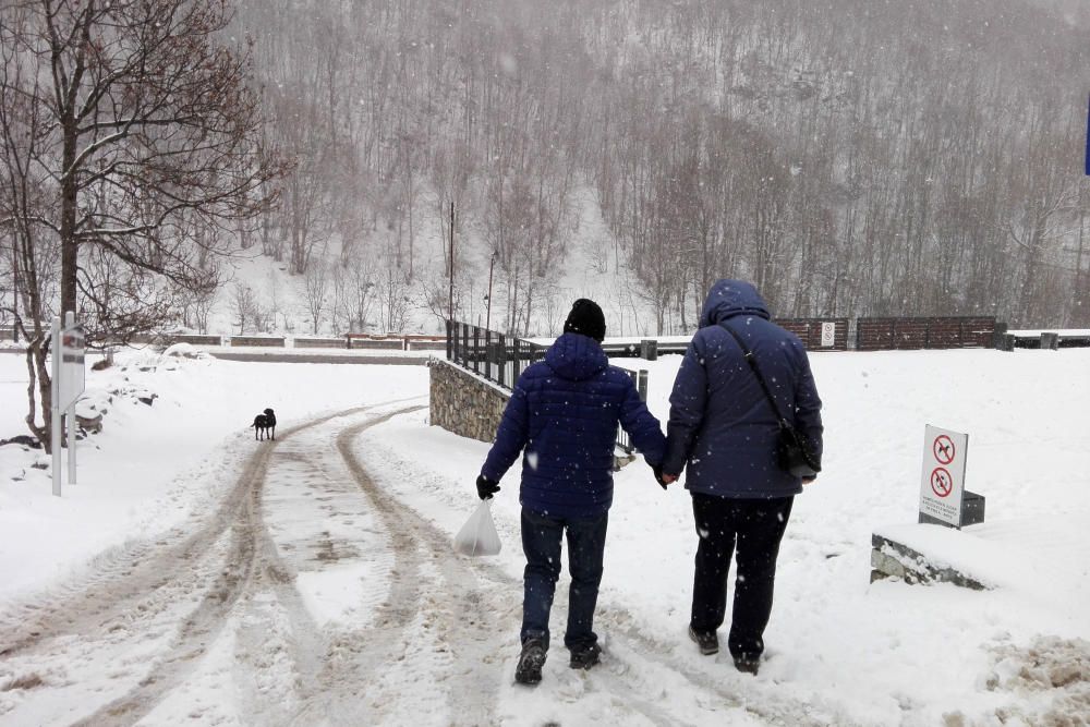 Neu a la Cerdanya i el Ripollès