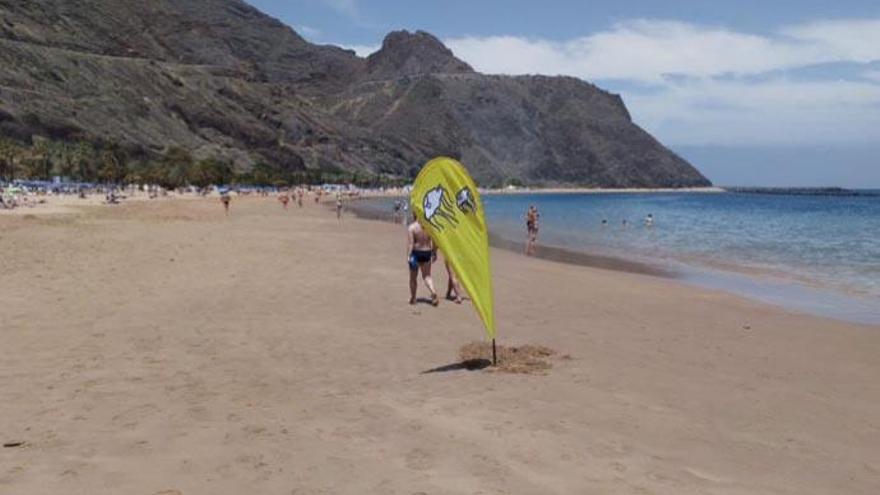 Domingo con viento fuerte a rachas y pocas nubes