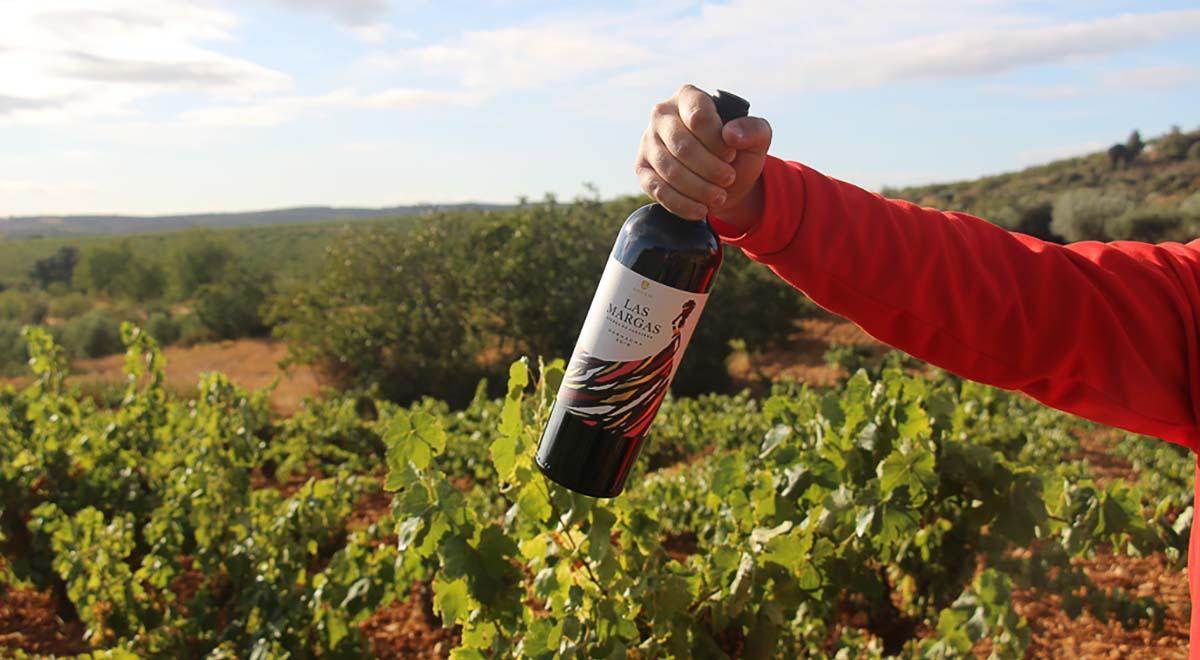 Viñedo de Las Margas en la DOP Cebreros