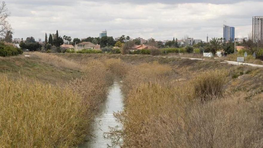 El caudal ecológico del Segura a su paso por Murcia subirá para evitar un cauce seco por sequía