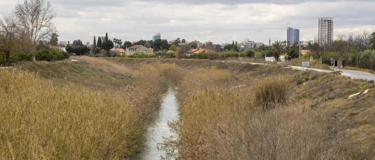 El río Segura, tras su paso por Murcia, camino de su encuentro con el Reguerón.