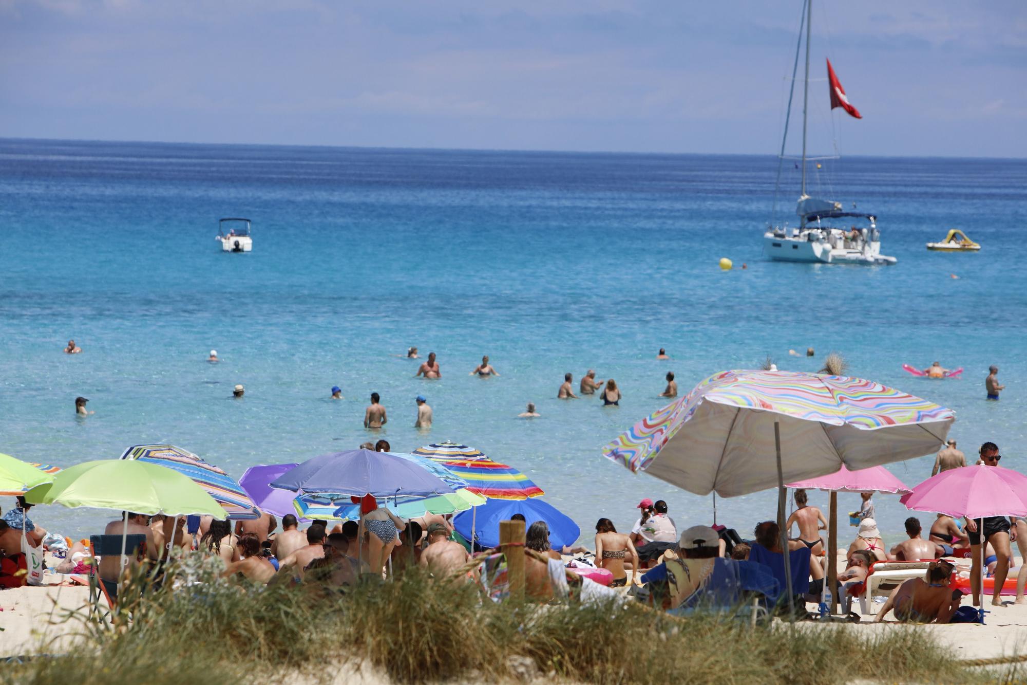 Wie im Hochsommer. So vergnügen sich schon jetzt die Urlauber an der Cala Agulla bei Cala Ratjada