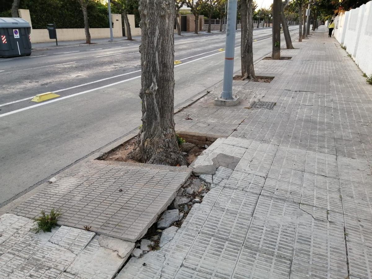 Imatge d'un dels escocells del carrer de l'Ermita alçat a causa del creixement de les arrels dels arbres.