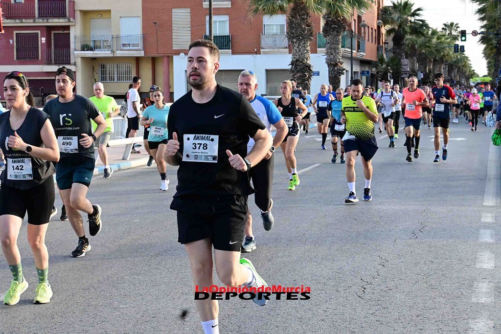 Carrera 5k Animal en Los Alcázares 2024 (I)