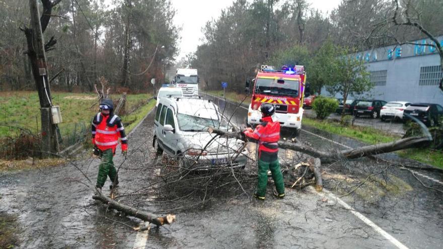 Un estradense herido, al desplomarse un árbol sobre su vehículo en Toedo a causa del temporal