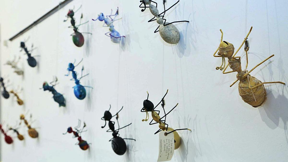 Varias de las hormigas que forman parte de la muestra itinerante.