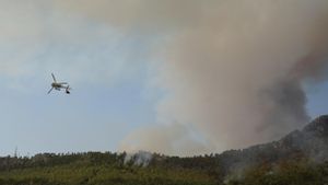 El foc arriba a 5 quilòmetres de la central nuclear d’Almaraz